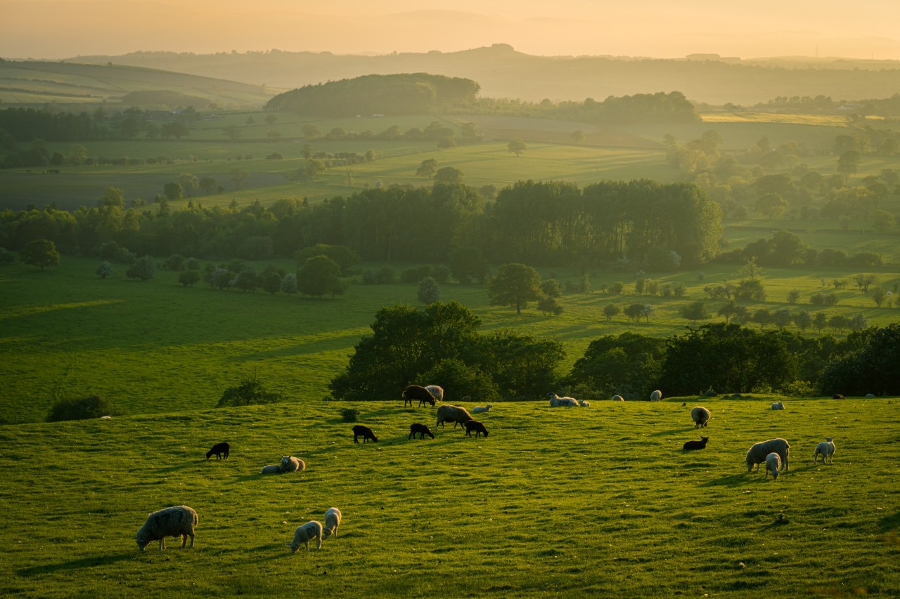 Spring 2022: A Land Agent's Perspective
